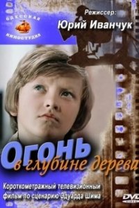 Постер Огонь в глубине дерева