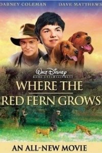 Постер Цветок Красного папоротника (Where The Red Fern Grows)