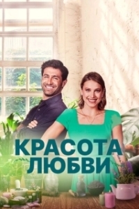 Постер Красота любви (The Beauty of Love)