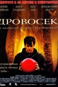 Постер Дровосек (The Woodsman)