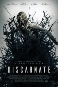Постер Бесплотный (Discarnate)