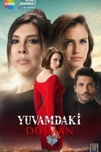 Постер Враг в моём доме (Yuvamdaki Düsman)