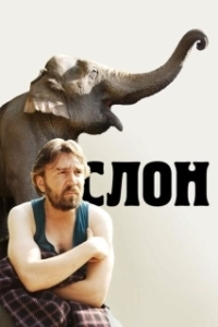 Постер Слон (Slon)
