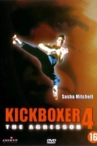 Постер Кикбоксер 4: агрессор (Kickboxer 4: The Aggressor)