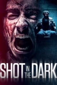 Постер Выстрел в темноте (A Shot in the Dark)