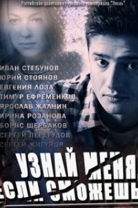 Постер Узнай меня, если сможешь