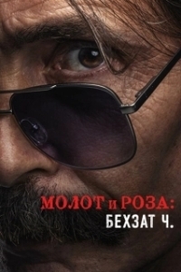 Постер Молот и роза: Бехзат Ч. (Çekiç ve Gül: Bir Behzat Ç. Hikayesi)