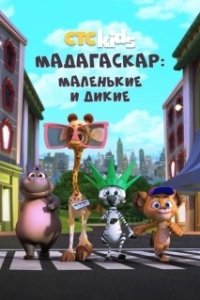Постер Мадагаскар: Маленькие и дикие (Madagascar: A Little Wild)