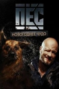 Постер Новогодний пёс