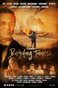 Постер Пшеничное зерно (Bugday Tanesi)