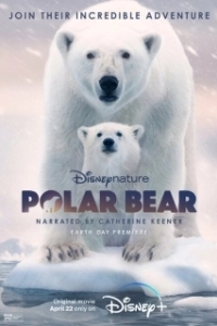 Постер Полярный медведь (Polar Bear)
