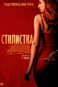 Стилист (2020)