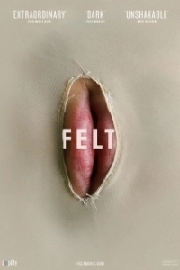 Постер Войлок (Felt)