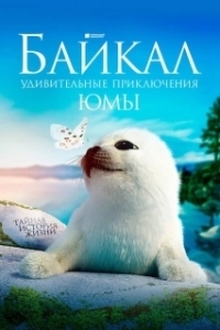 Постер Байкал. Удивительные приключения Юмы (Baikal)