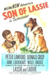 Постер Сын Лесси (Son of Lassie)