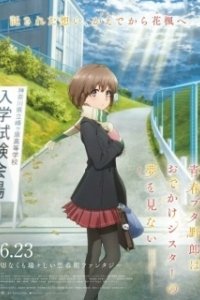 Постер Этот глупый свин не понимает мечту сестры на прогулке (Seishun Buta Yarou wa Odekake Sister no Yume wo Minai)