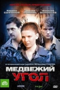 Постер Медвежий угол (Björnstad)