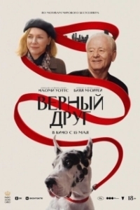 Постер Верный друг (The Friend)
