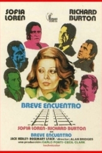 Короткая встреча (1974)