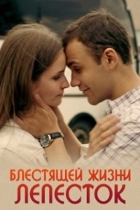 Постер Блестящей жизни лепесток