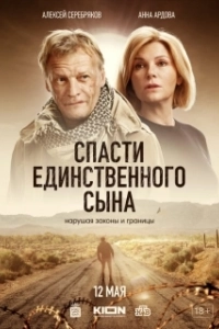 Постер Спасти единственного сына (Спасти единственного сына)
