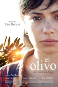 Постер Олива (The olive tree)