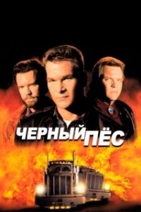 Постер Чёрный пёс (Black Dog: Being a Teacher)