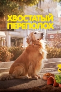 Постер Хвостатый переполох (Dogeudeijeu)