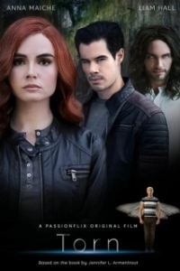 Постер Разорванный: Злая трилогия (Torn: A Wicked Trilogy)