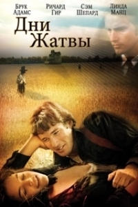 Постер Дни жатвы (Days of Heaven)
