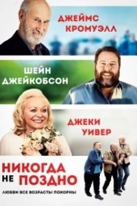 Постер Никогда не поздно (Nie zu spät)