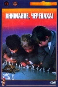 Постер Внимание, черепаха!