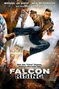Восхождение Сокола (2013)