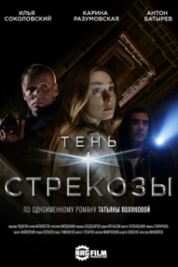 Постер Тень стрекозы