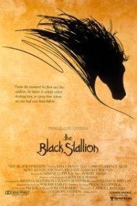 Постер Черный скакун (The Black Stallion)