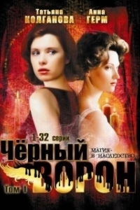 Постер Чёрный ворон