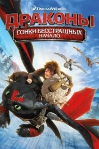 Постер Драконы: Гонки бесстрашных. Начало (Dragons: Dawn of the Dragon Racers)