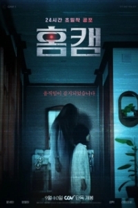 Домашняя камера (2025)