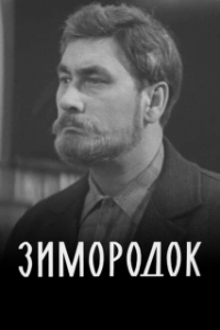 Зимородок (2022)