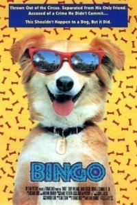 Постер Бинго (Bingo)