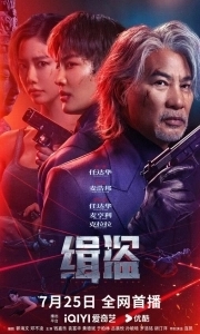 Поймать воров (2025)