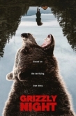Постер Ночь гризли (2026)
