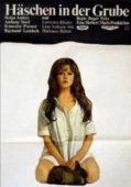 Постер Заяц в норе (1969)