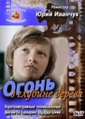 Постер Огонь в глубине дерева (1978)