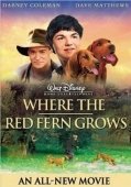 Постер Цветок Красного папоротника (2003)