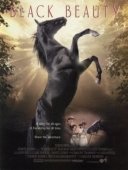 Постер Черный красавец (1994)
