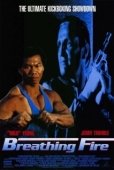 Постер Огнедышащий (1991)