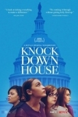 Постер Попасть в Конгресс (2019)