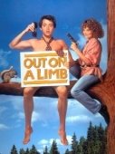Постер В опасности (1992)