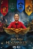 Постер Гарри Поттер: Битва факультетов (2021)